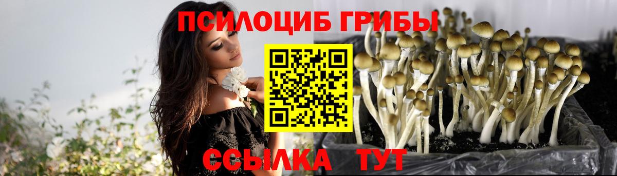 Альметьевск  Галлюциногенные грибы GOLDEN TEACHER  даркнет сайт  Вход с VPN 